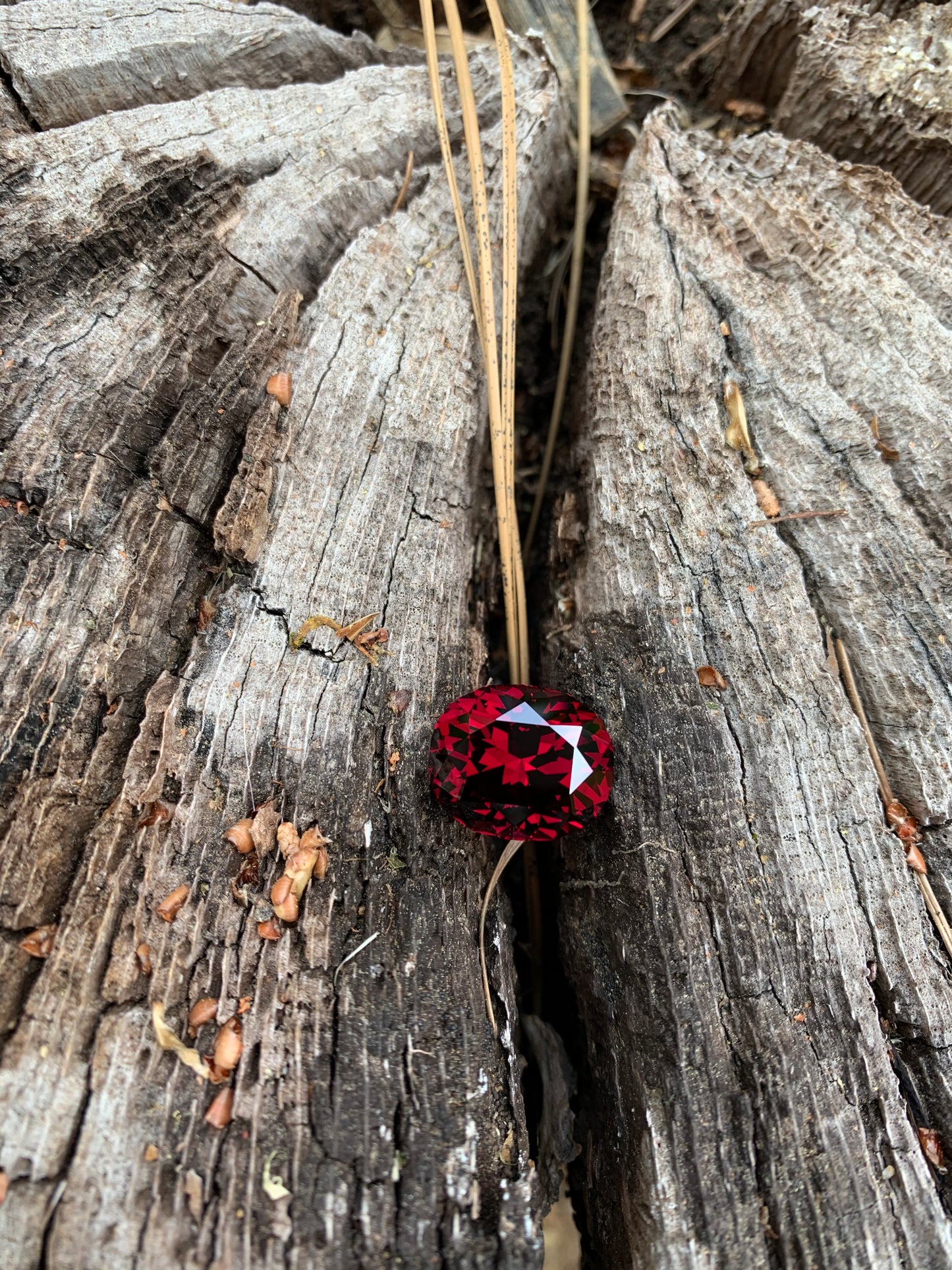 Garnet 24.22 ct